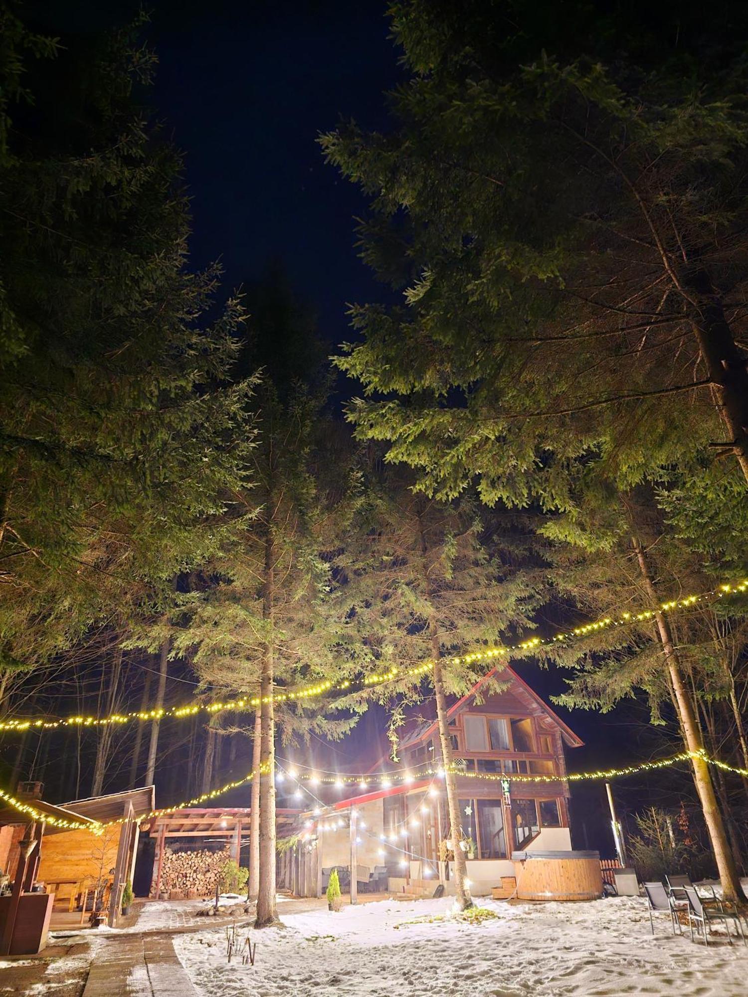 Misha'S House Villa Porumbacu de Sus Dış mekan fotoğraf